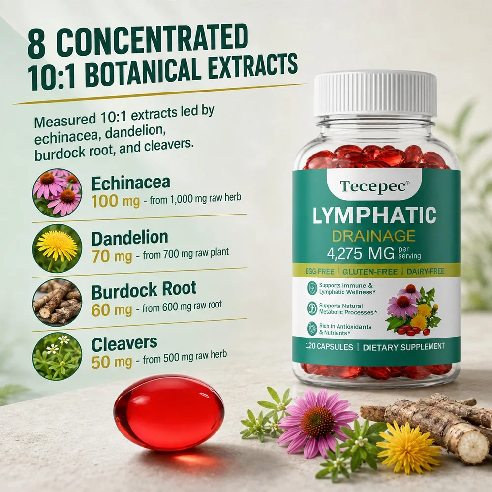 Lymphatic Drainage - Lymphatic - Echinacea ulasan dan harga